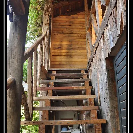 Lodge Kadir's Family House Olympos