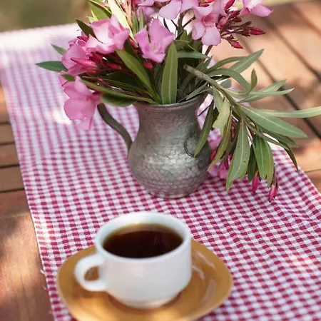 Kadir's Family House Olympos