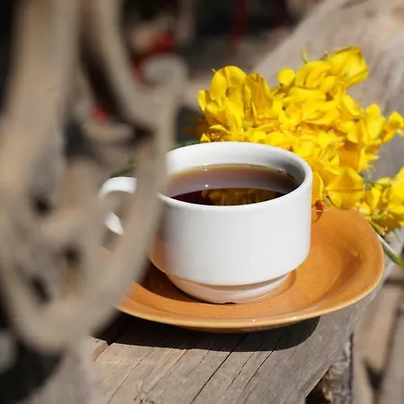 Kadir's Family House